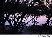 85F03939.jpg