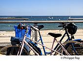 85F04011.jpg