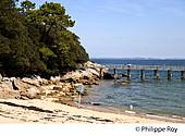 85F04013.jpg