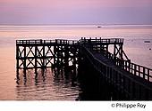85F04025.jpg