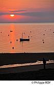 85F04033.jpg