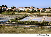 85F04101.jpg