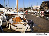 85F04125.jpg