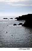 85F04430.jpg