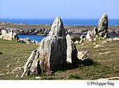 85F04438.jpg