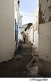 85F04732.jpg