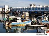 85F05337.jpg