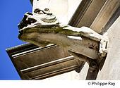 85F05540.jpg