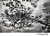87F00311.jpg