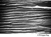 87F00517.jpg