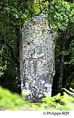 87F00913.jpg