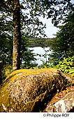 87F01003.jpg