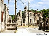 87F01310.jpg