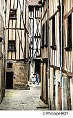 87F01510.jpg