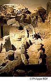 87F01614.jpg