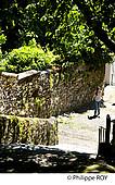 87F01922.jpg