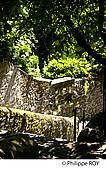 87F01923.jpg