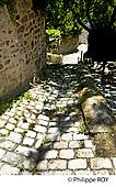 87F01924.jpg