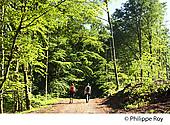 87F02126.jpg