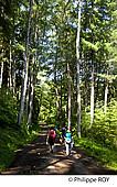 87F02203.jpg