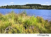 87F02304.jpg