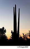 90F00414.jpg