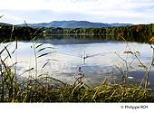 90F00601.jpg