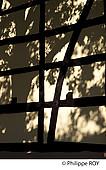 90F00707.jpg