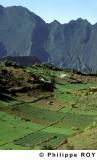 97F00114.jpg