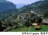 CH000231.jpg