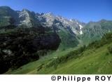 CH000329.jpg