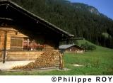 CH000436.jpg