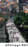 CZ000122.jpg