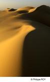 EG000208.jpg