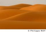 LY000624.jpg