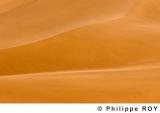 LY000626.jpg