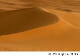 LY000730.jpg