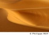 LY000731.jpg
