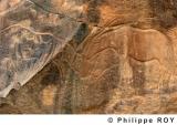 LY001910.jpg
