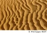 LY002519.jpg