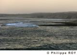 LY002839.jpg