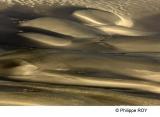 LY003639.jpg