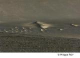 LY003704.jpg