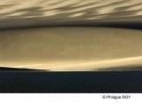 LY003711.jpg