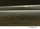 LY003712.jpg