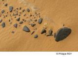 LY004104.jpg