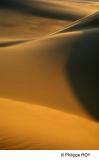LY004303.jpg