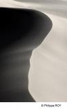 LY004307.jpg