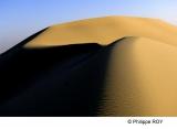 LY004328.jpg
