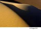 LY004331.jpg